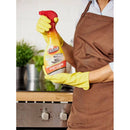 Triumf Cuptoare, Farmec - Delumani - Magazin Online Romanesc