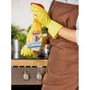 Triumf Frigidere, Farmec - Delumani - Magazin Romanesc 