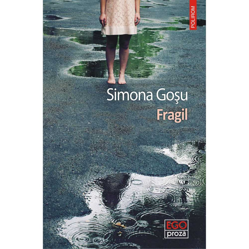 Fragil - Simona  Gosu